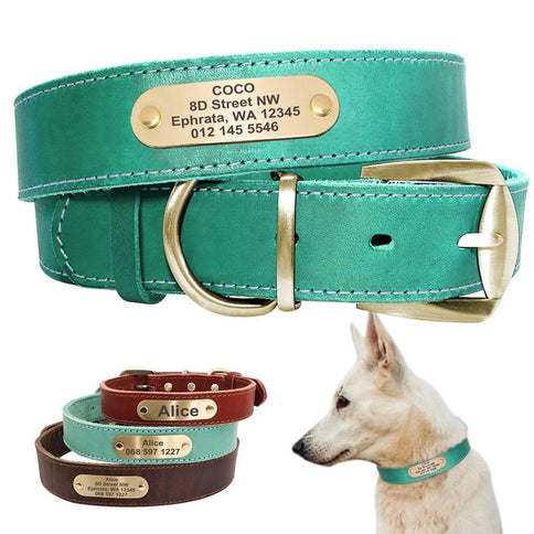 Personalized dog collars with nameplate in turquoise and brown, featuring ID tags for medium and large dogs