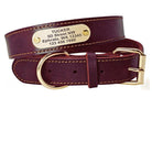 Personalized dog collars with nameplate featuring a rich burgundy design and gold buckle, perfect for medium and large dogs.