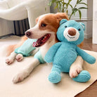 A happy dog cuddles a large blue plush bear, perfect as large squeaky dog toys for fun and training.