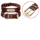 Personalized dog collars with nameplate for medium and large dogs in brown leather with a sturdy gold buckle