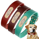 Personalized dog collars with nameplate in brown, red, and teal for medium to large dogs, featuring ID tags for easy identification