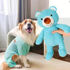 A happy dog in a light blue outfit with a plush blue bear toy, perfect for large squeaky dog toys fun and training.