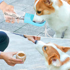 A person using a portable pet water bottle, feeding a Corgi as it curiously approaches to drink or eat from the cup