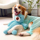 Happy dog cuddling a soft plush large squeaky dog toy shaped like a bear, perfect for chewing and training.