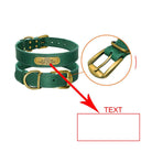 Stylish personalized dog collars with nameplate, featuring a green leather design and gold buckle for medium to large dogs