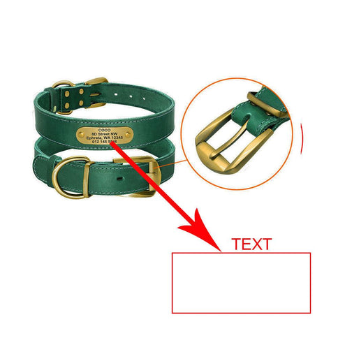 Stylish personalized dog collars with nameplate, featuring a green leather design and gold buckle for medium to large dogs